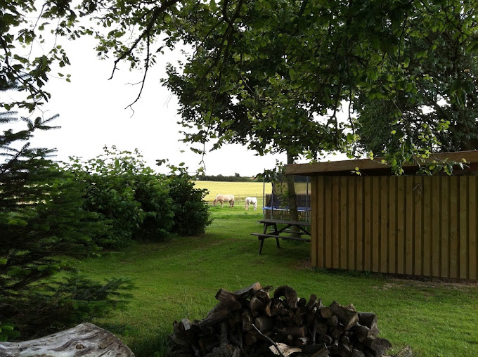 Agerbo Vingaard photo 4