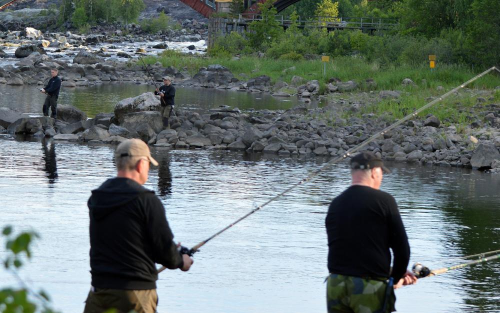 Älvkarleby Fiskecamping photo 3