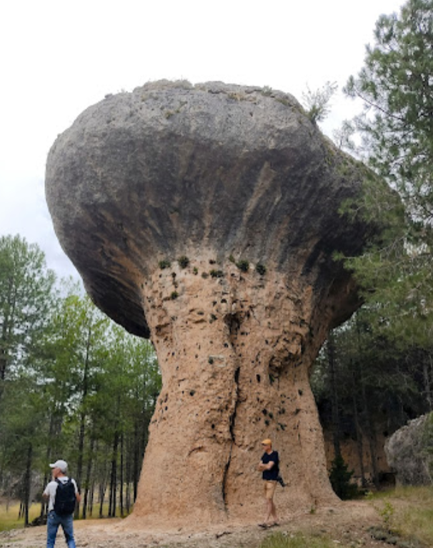 Área de Autocaravanas y Albergue La Cañadilla - Photo 3