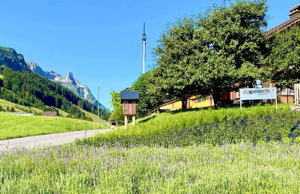 Auf der Triebern photo 3
