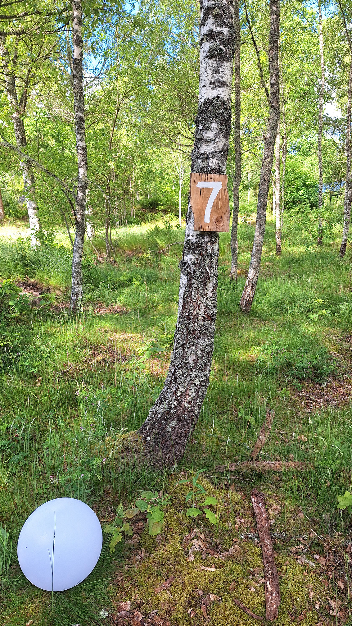 Bigård Birgitta photo 2