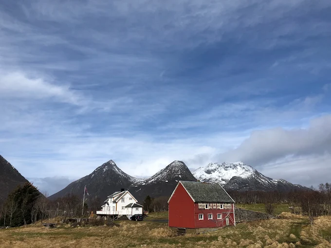BJØRKENGEN GÅRD photo 5