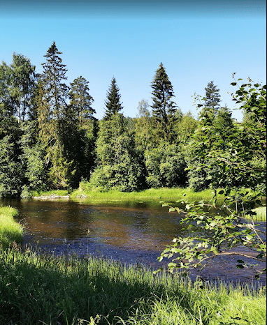 Björsarv Camping photo 2