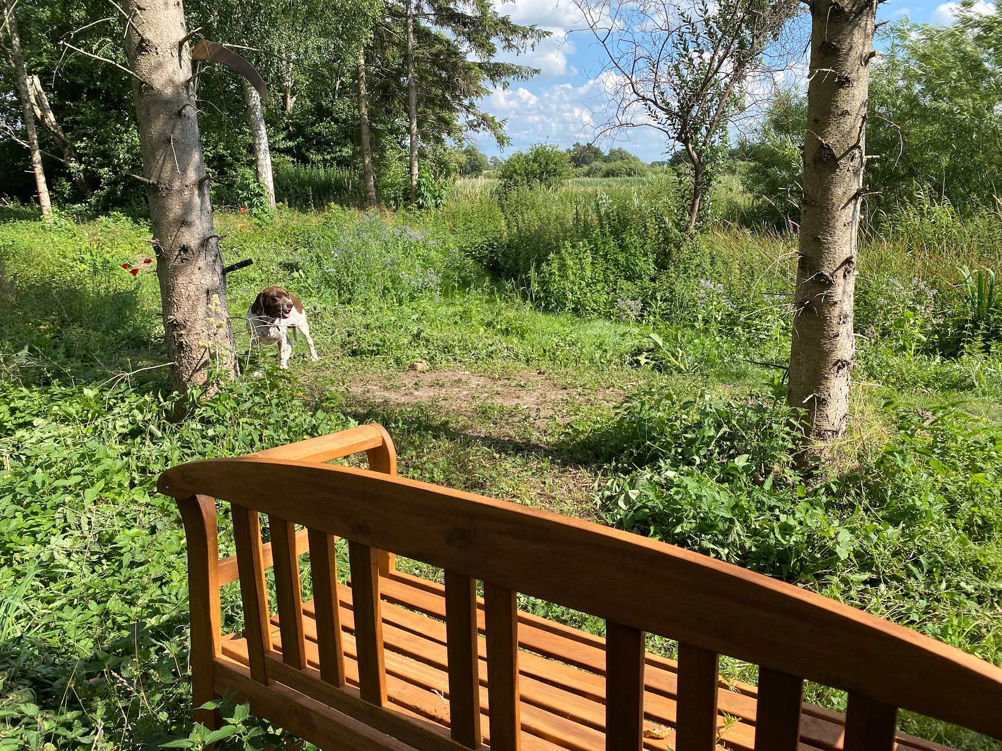 Blaakildehus Farm Camping photo 5