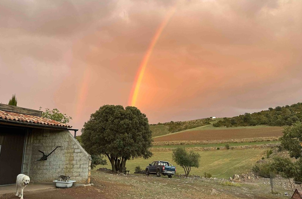 Cal Margarit photo 2