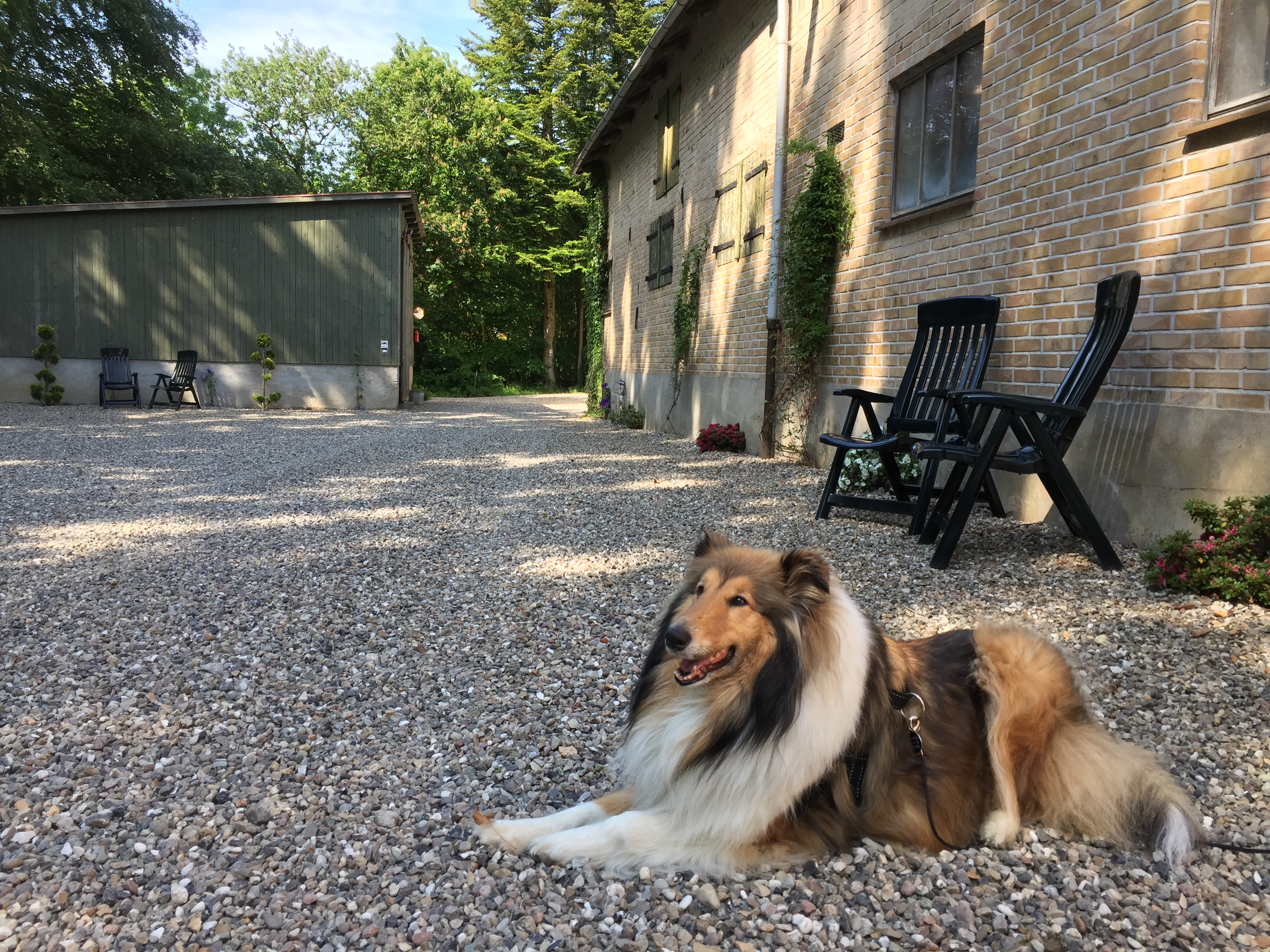 Camperparken - Photo 3