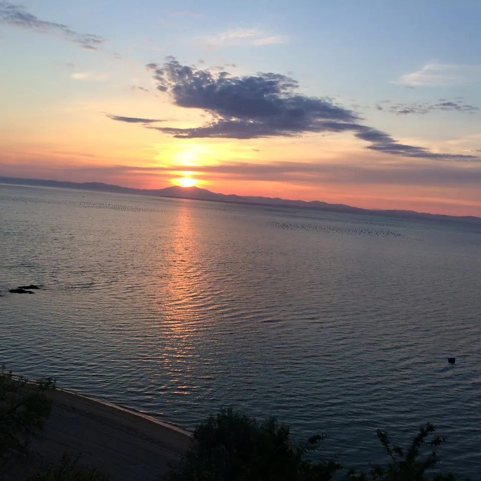 Camping Agiannis photo 5