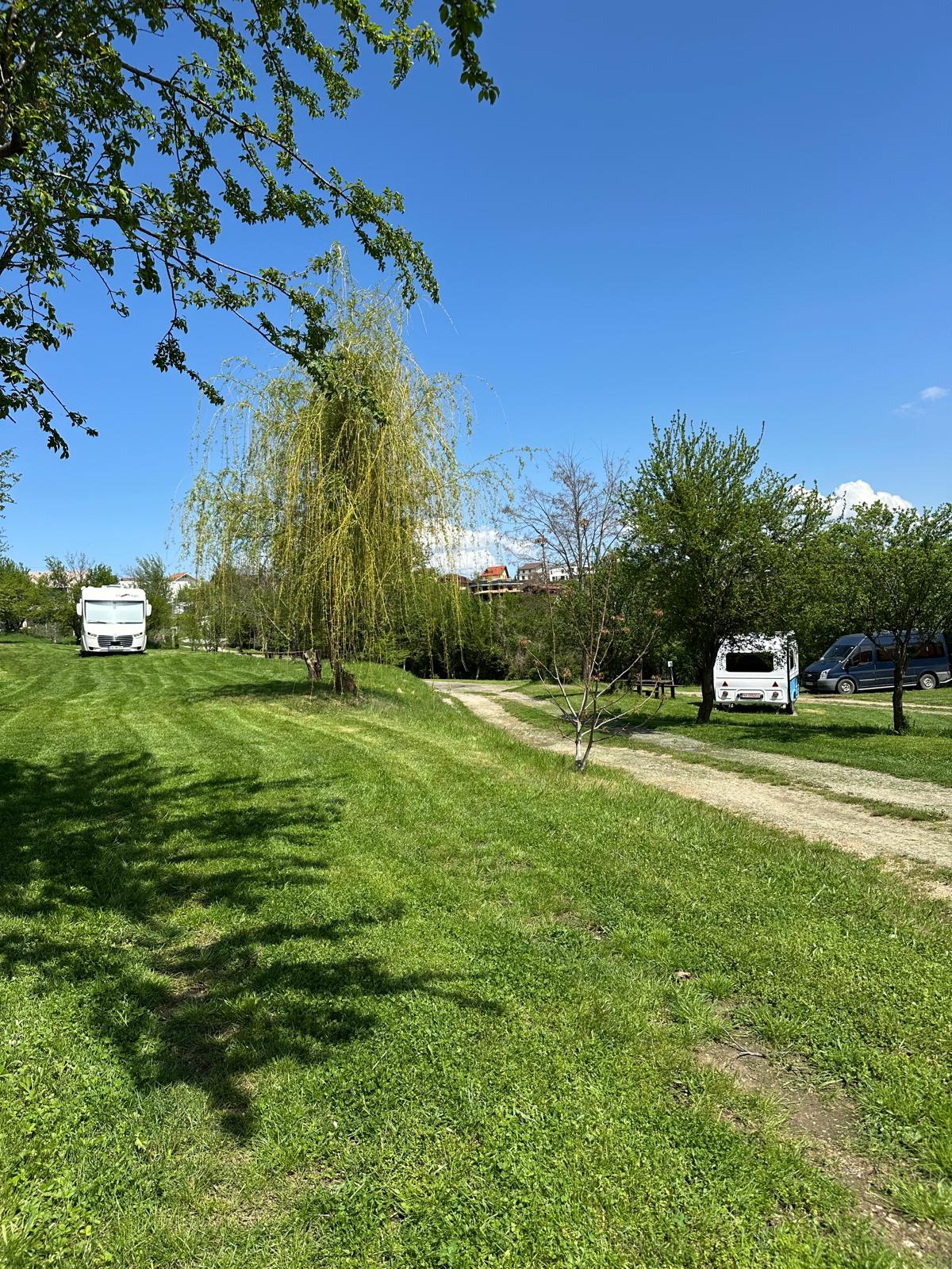 Camping Ananas - Photo 2
