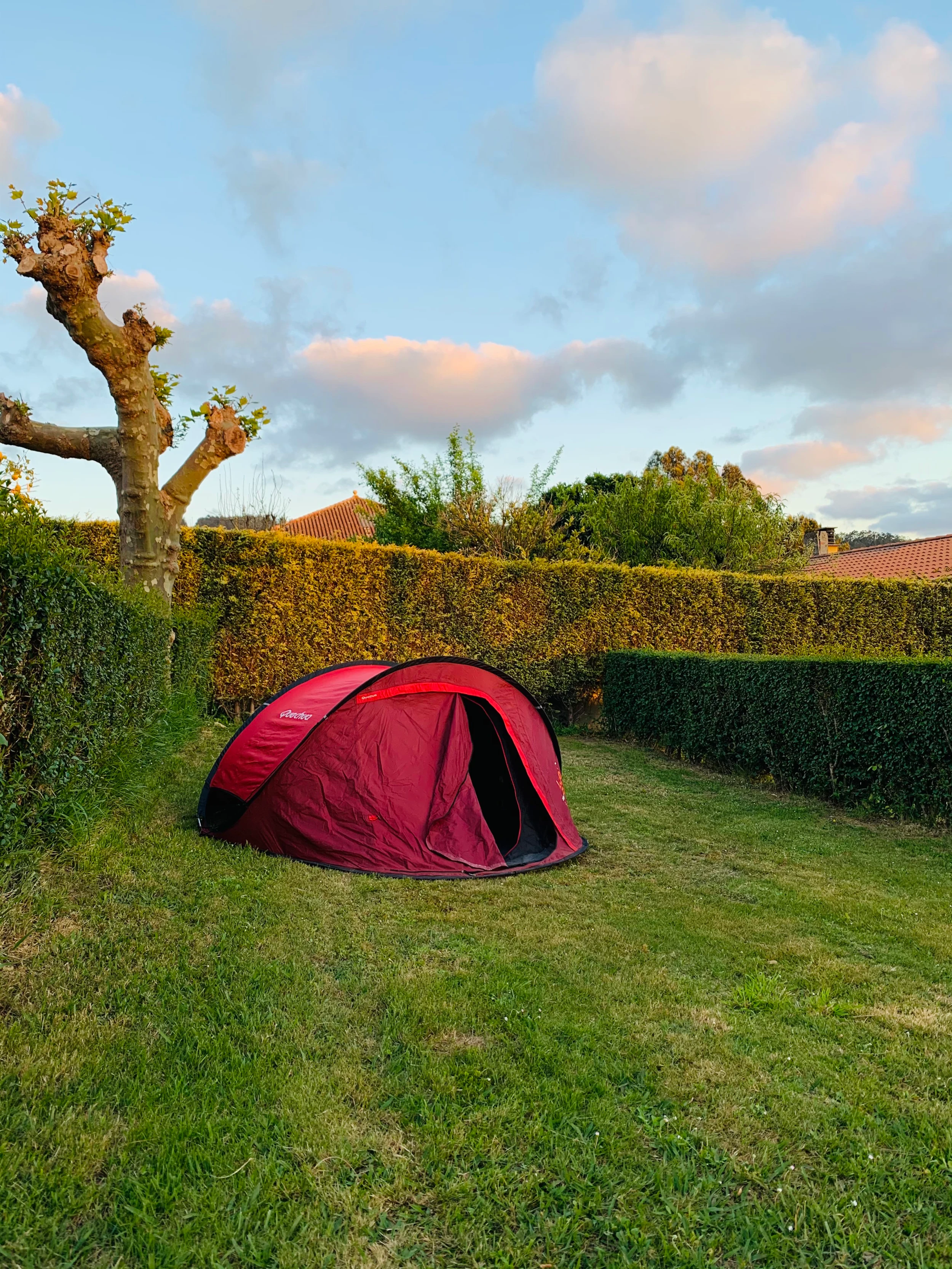 Camping As Nevedas photo 4