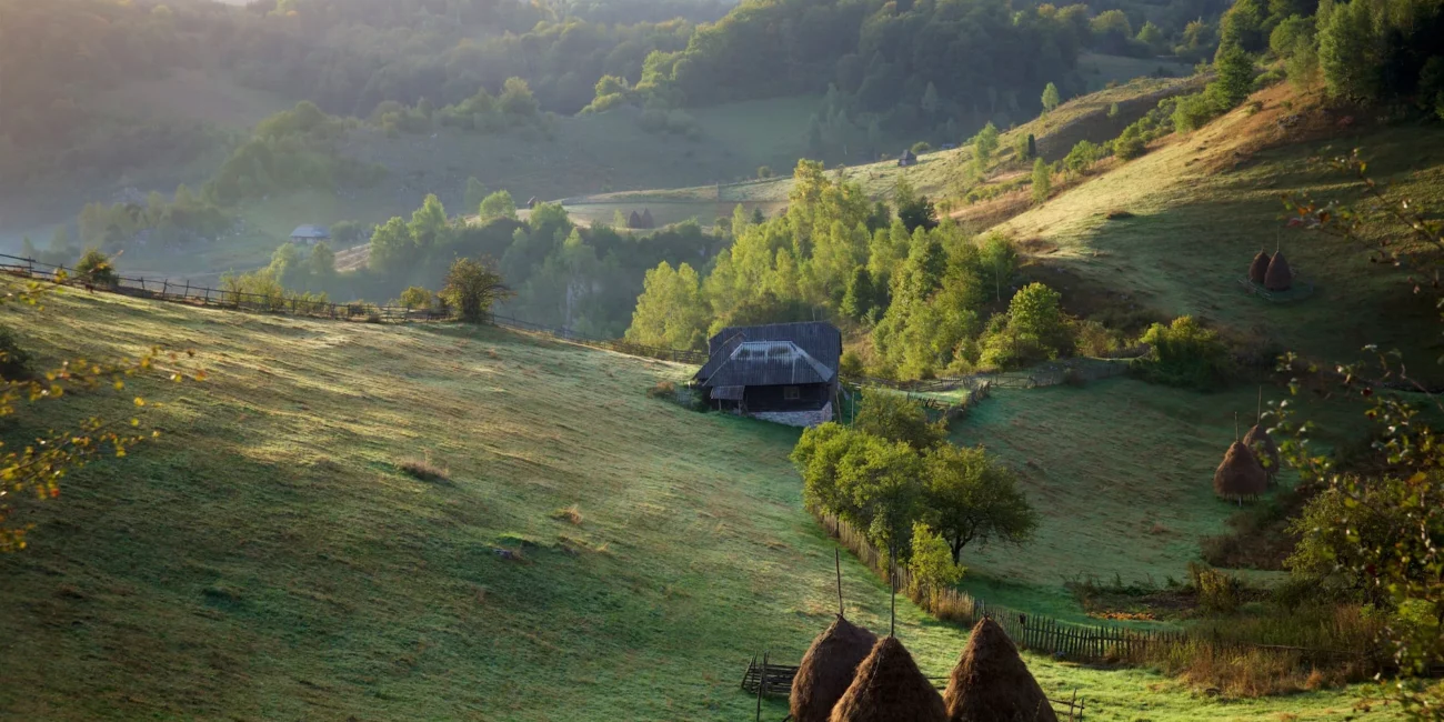 Camping Baleia