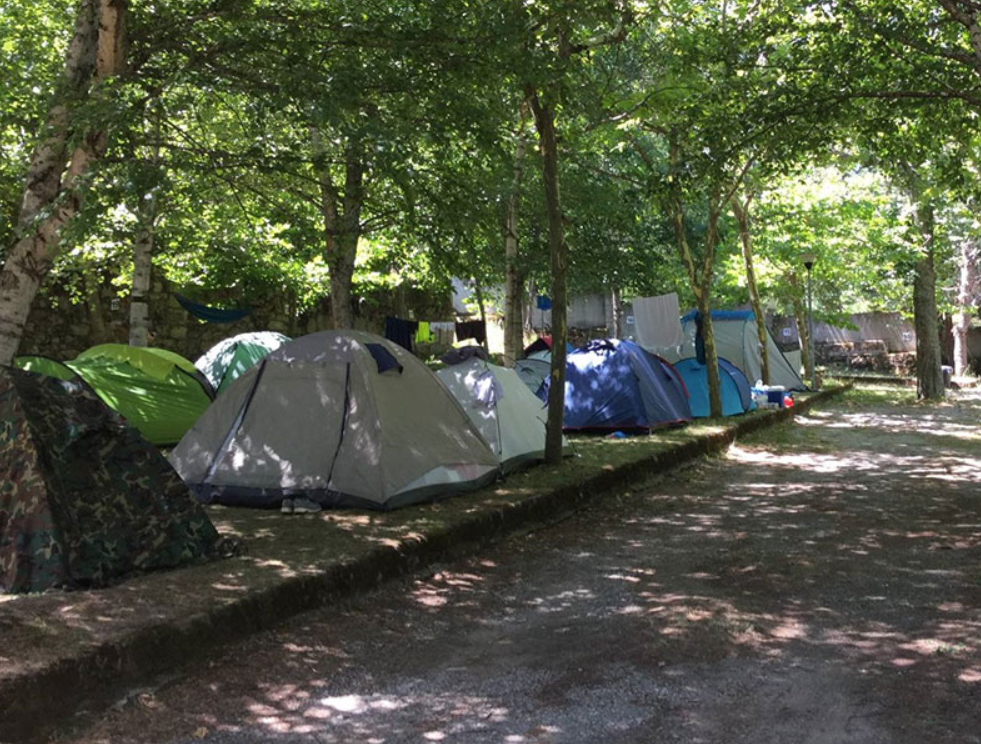 Camping Cinco Castaños - Photo 3