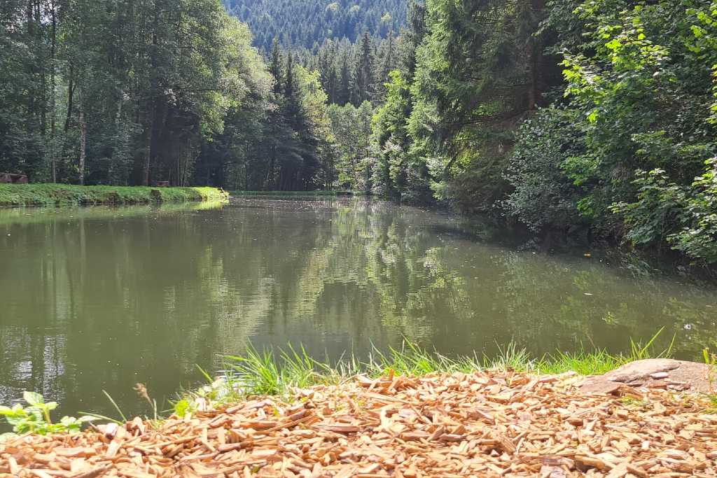 Camping Erbenwald photo 2