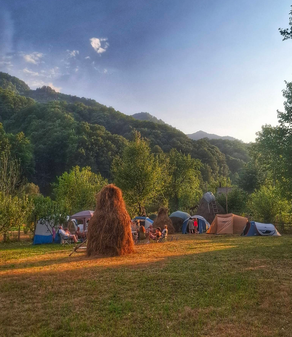 Camping Gradina cu Flori