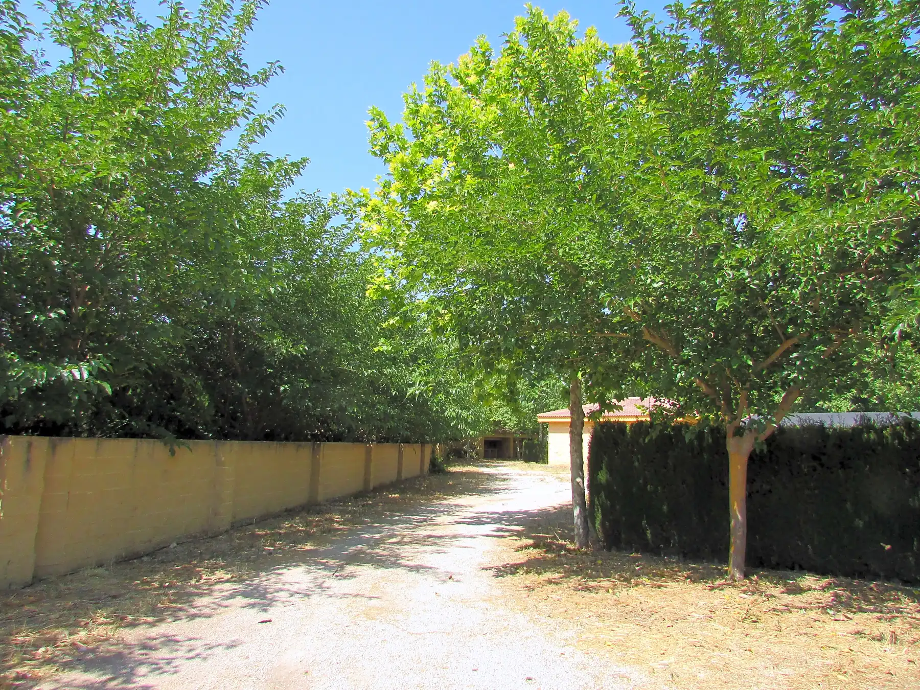 Camping Hoces de Mira photo 3