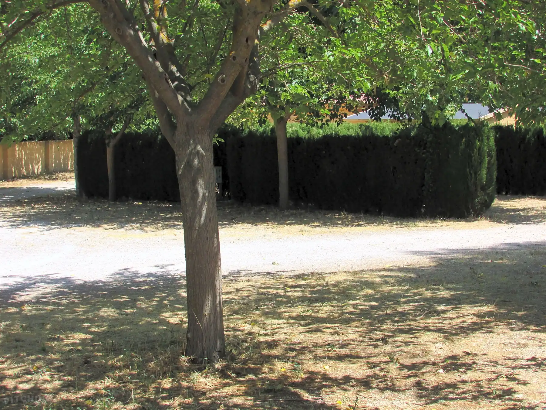 Camping Hoces de Mira photo 5