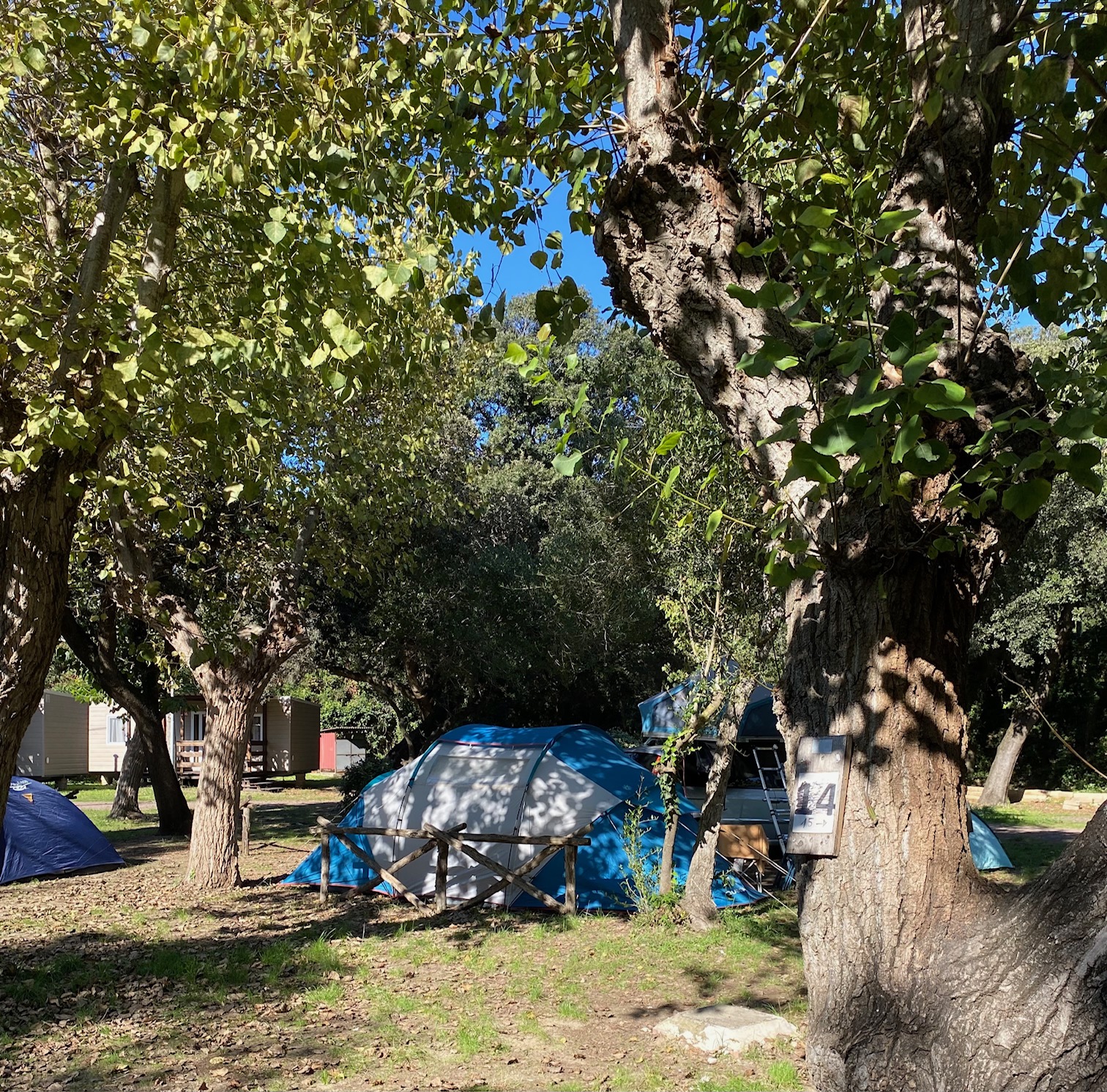 cotton canvas bell tent White Duck 13' Regatta Fire Water Repellent / Forest Green Size:2.4 x 2.4 x 2.2 (Silver) As NYPD Suits Up drag queen Electrical cable outlet for