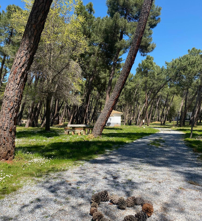 Camping La Bolera photo 5