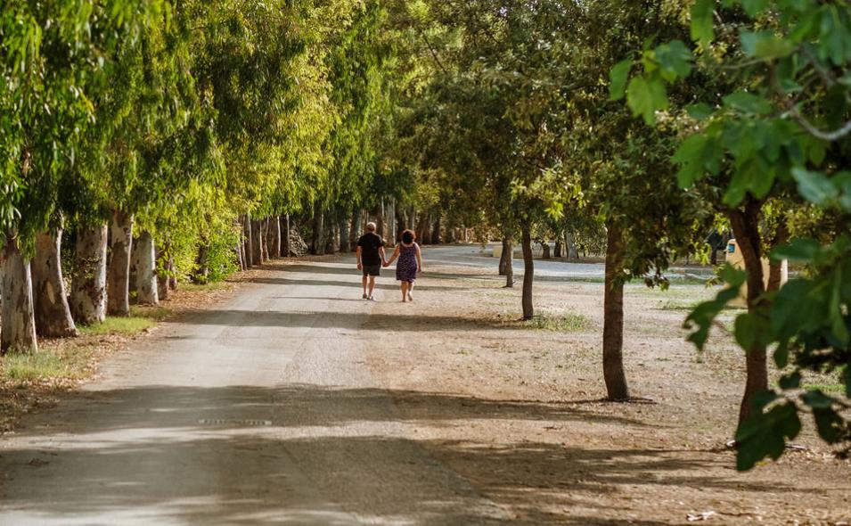 Camping La Masseria