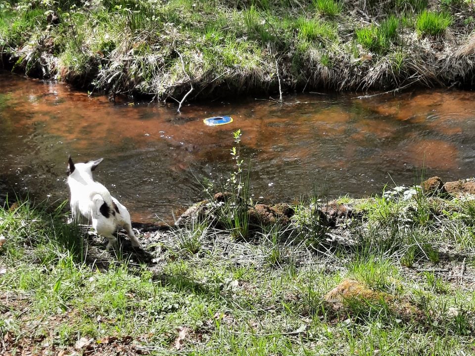 Camping La Petite Rivière photo 3