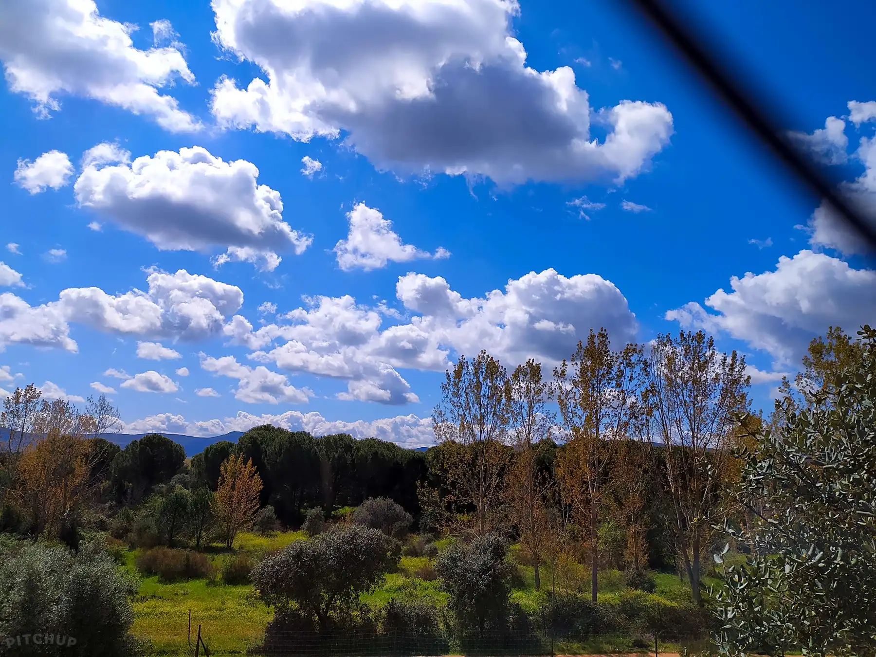 Camping La Tabla de la Yedra photo 5