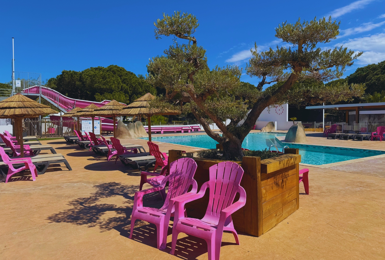 Camping Les Flamants Roses photo 5
