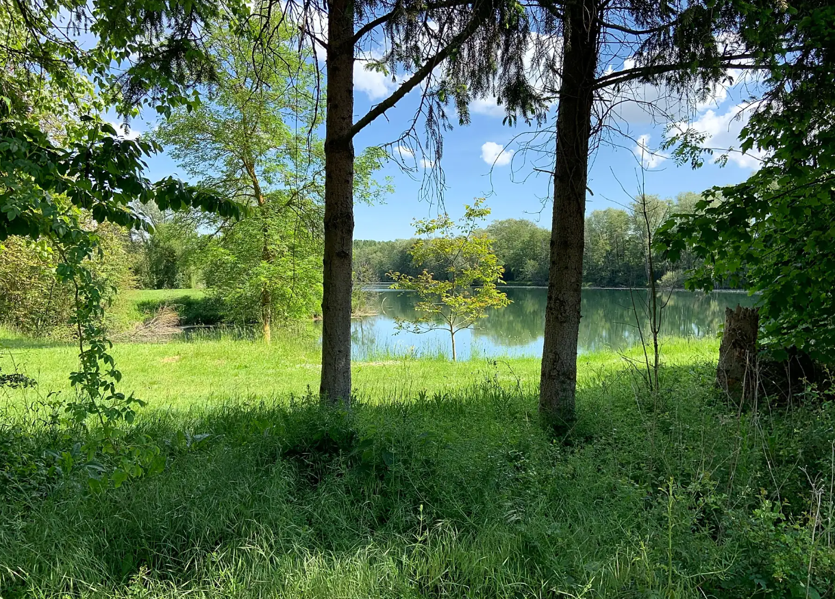 Camping l’Île d’Amour photo 3