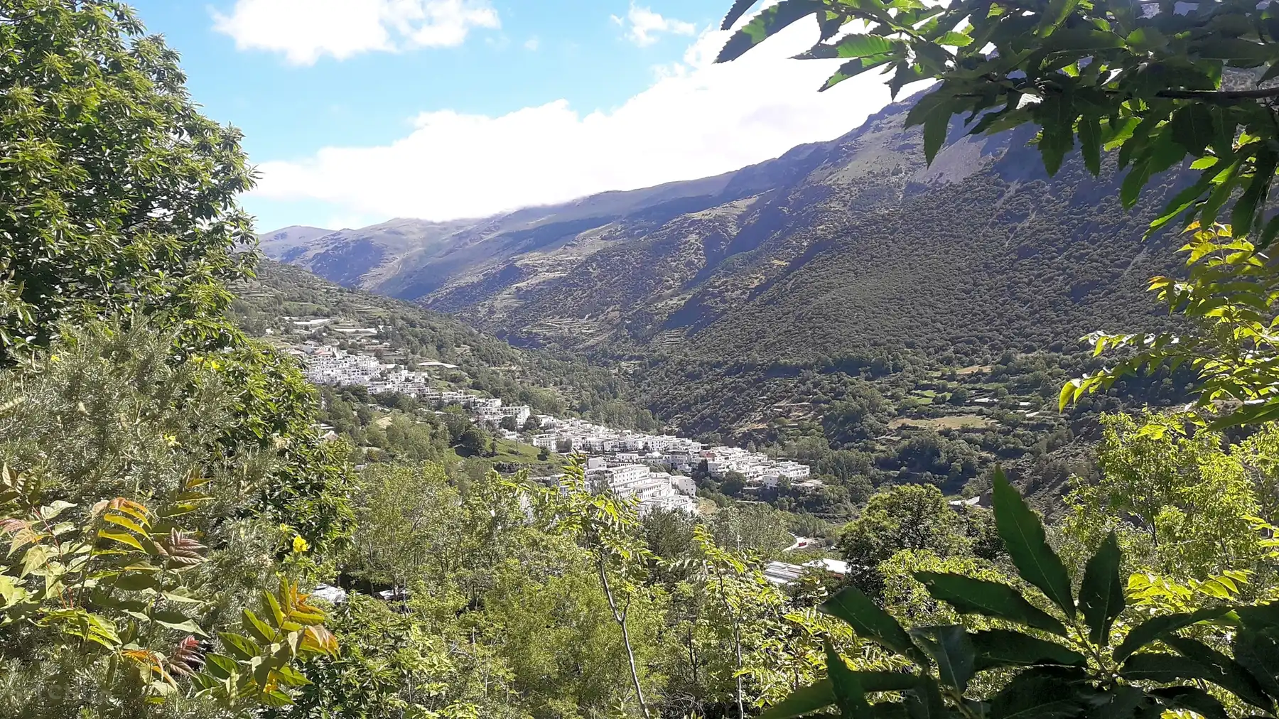 Camping Trevélez photo 4