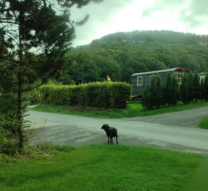 Campingpark Extertal - Buchen & Bonusnchte sammeln | Campcation