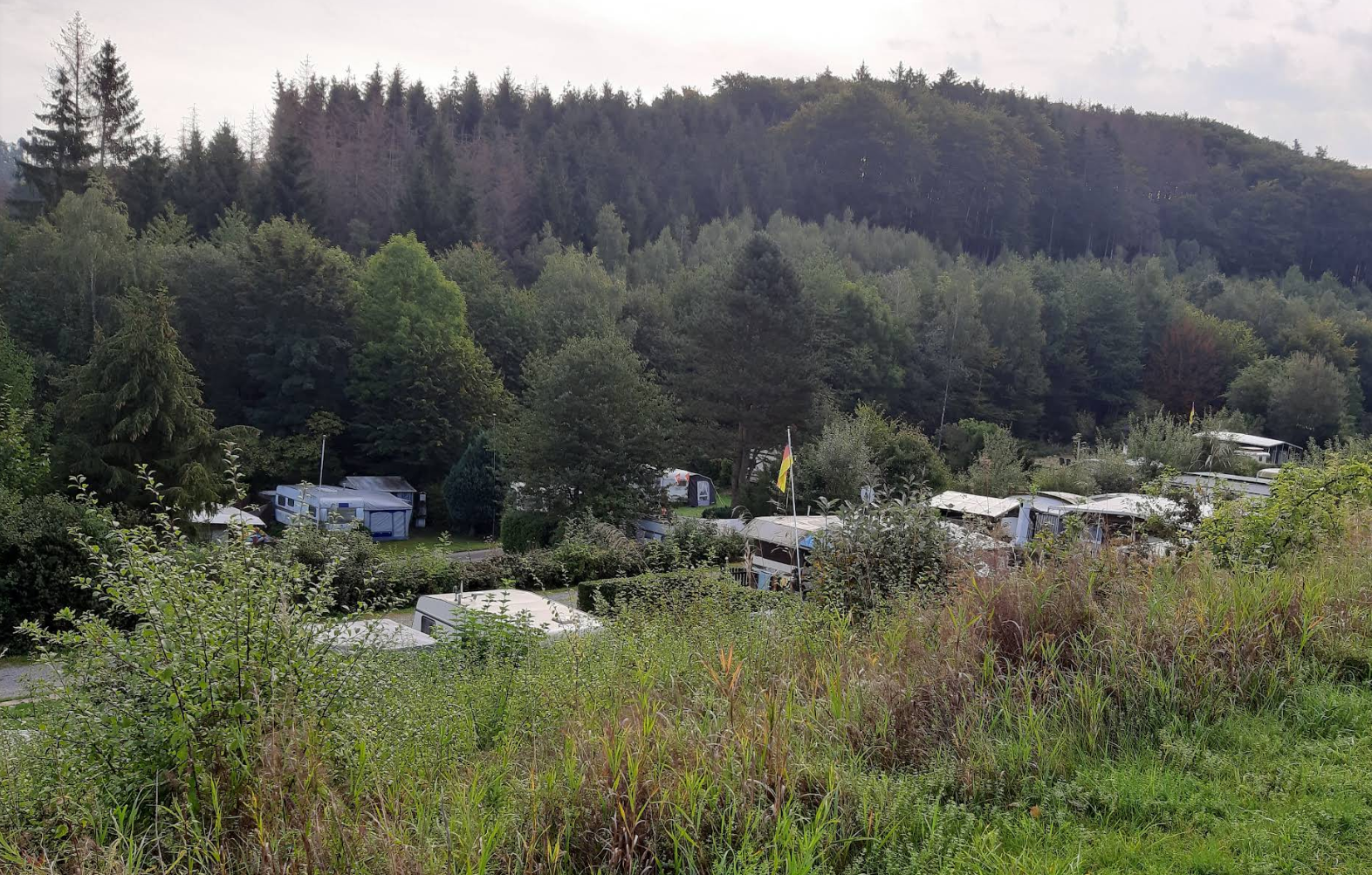 camper van aufkleber Wohnmobil Aufkleber: Lebe was Du liebst kaufen