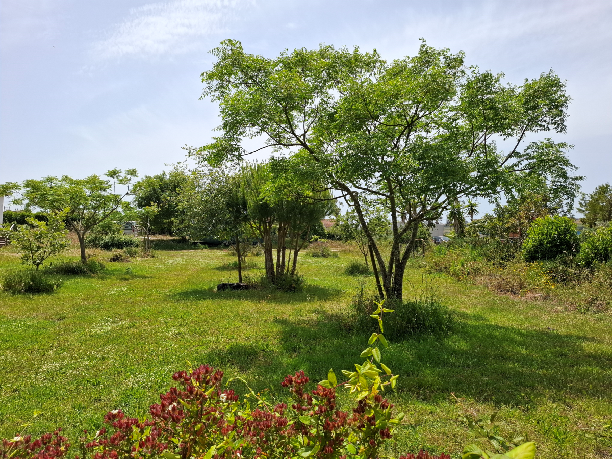 Caria's organic farm photo 3