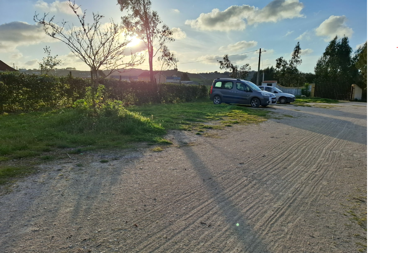 Caria's organic farm photo 5
