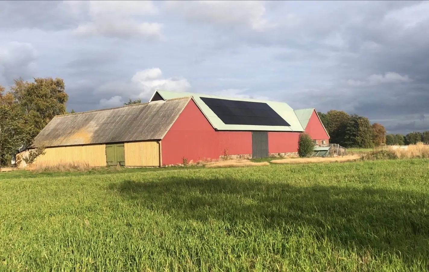 Charlie Farm photo 4