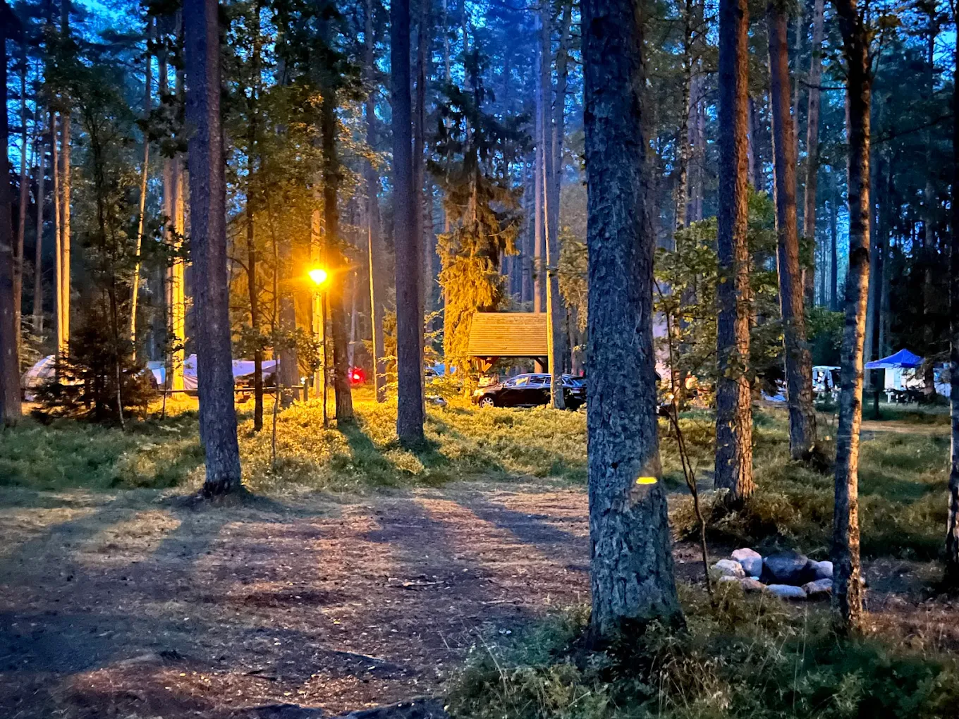 Cicho-sza Pole biwakowe Powałczyn photo 2