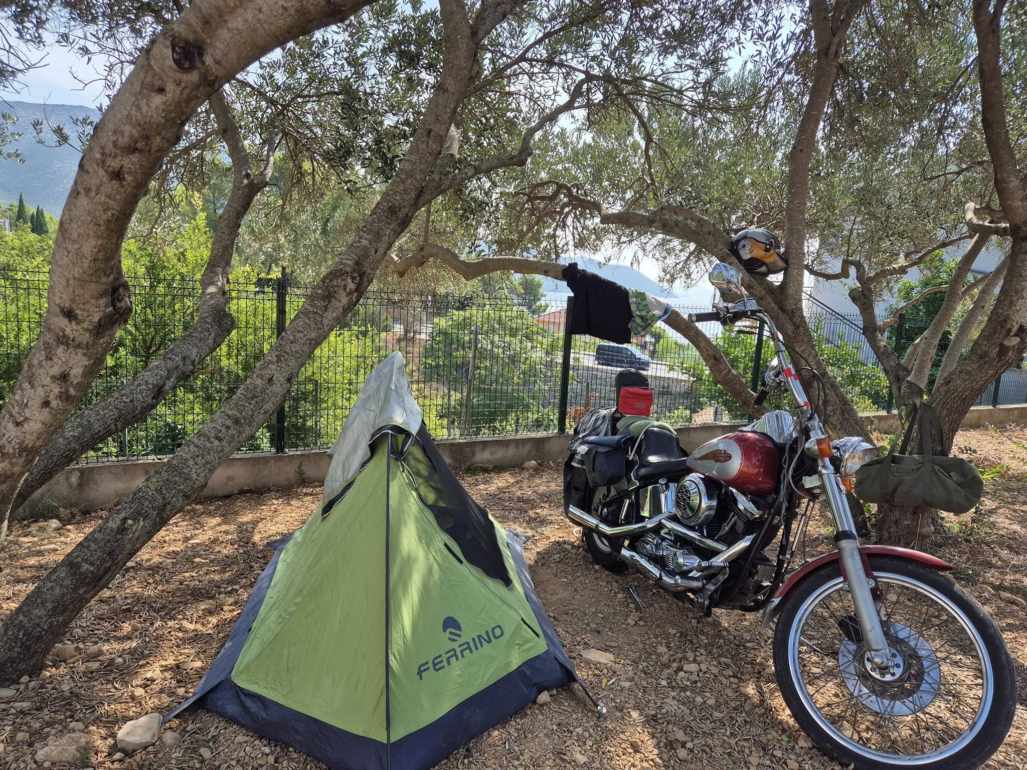 Dalmata Camping photo 3