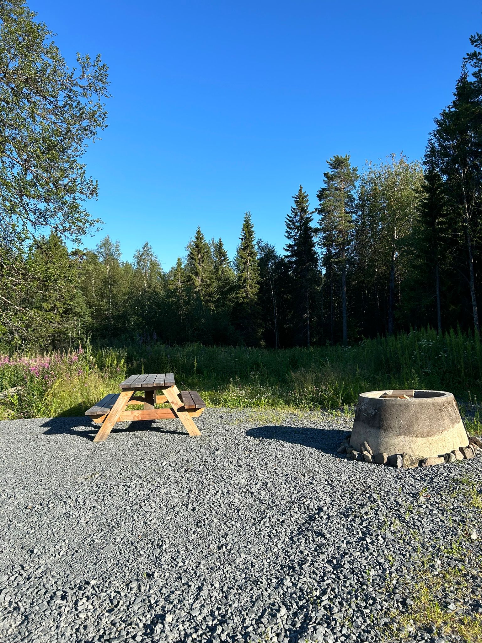 Dream Camp photo 5