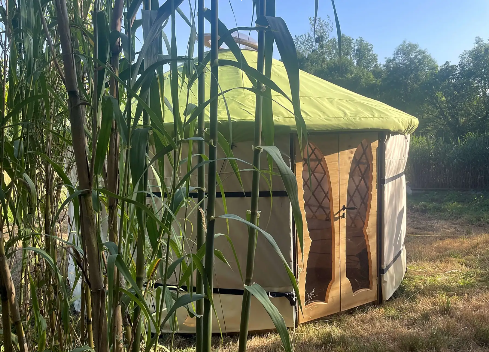 Ecophora photo 3