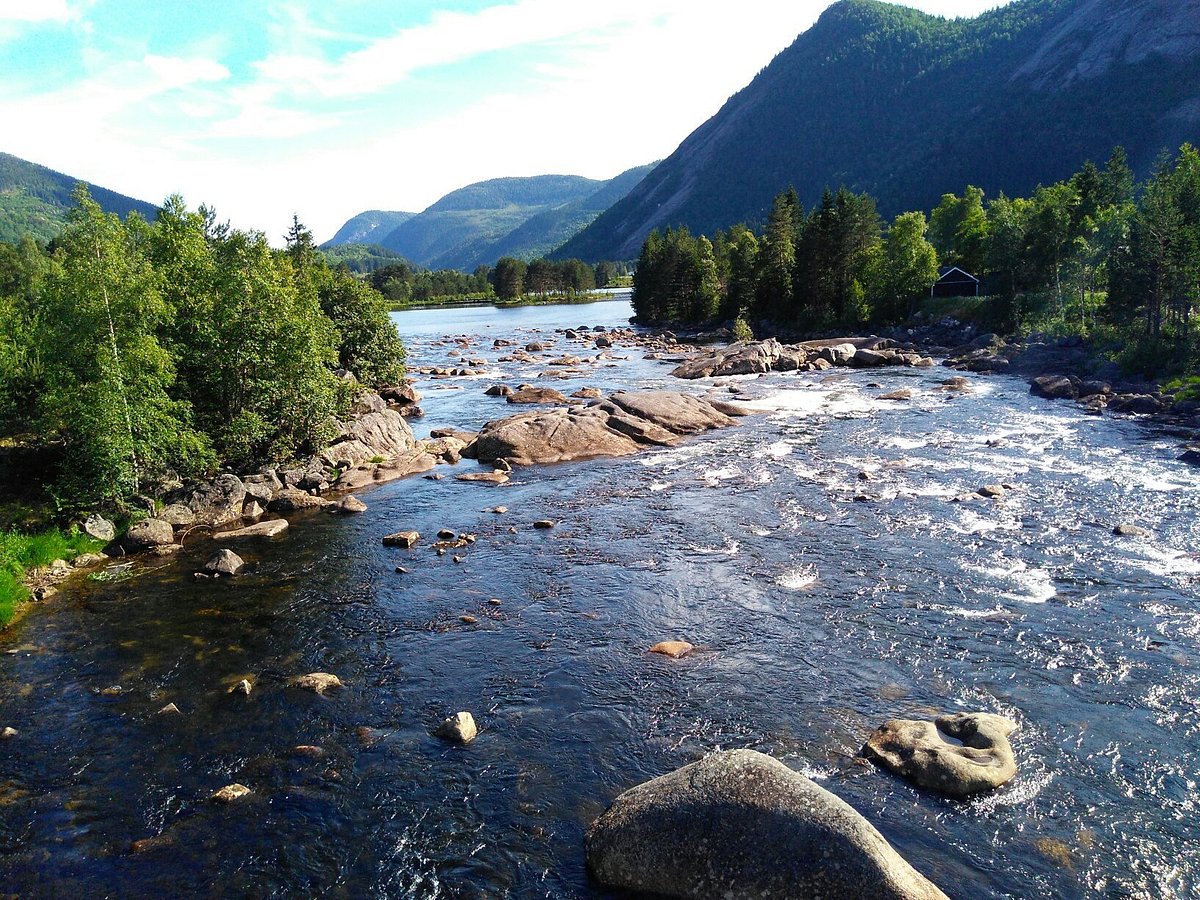 Flateland Camping photo 5