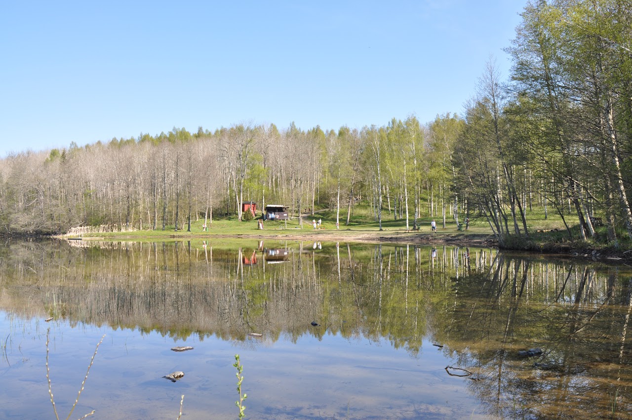 Furusjöns Camping photo 5