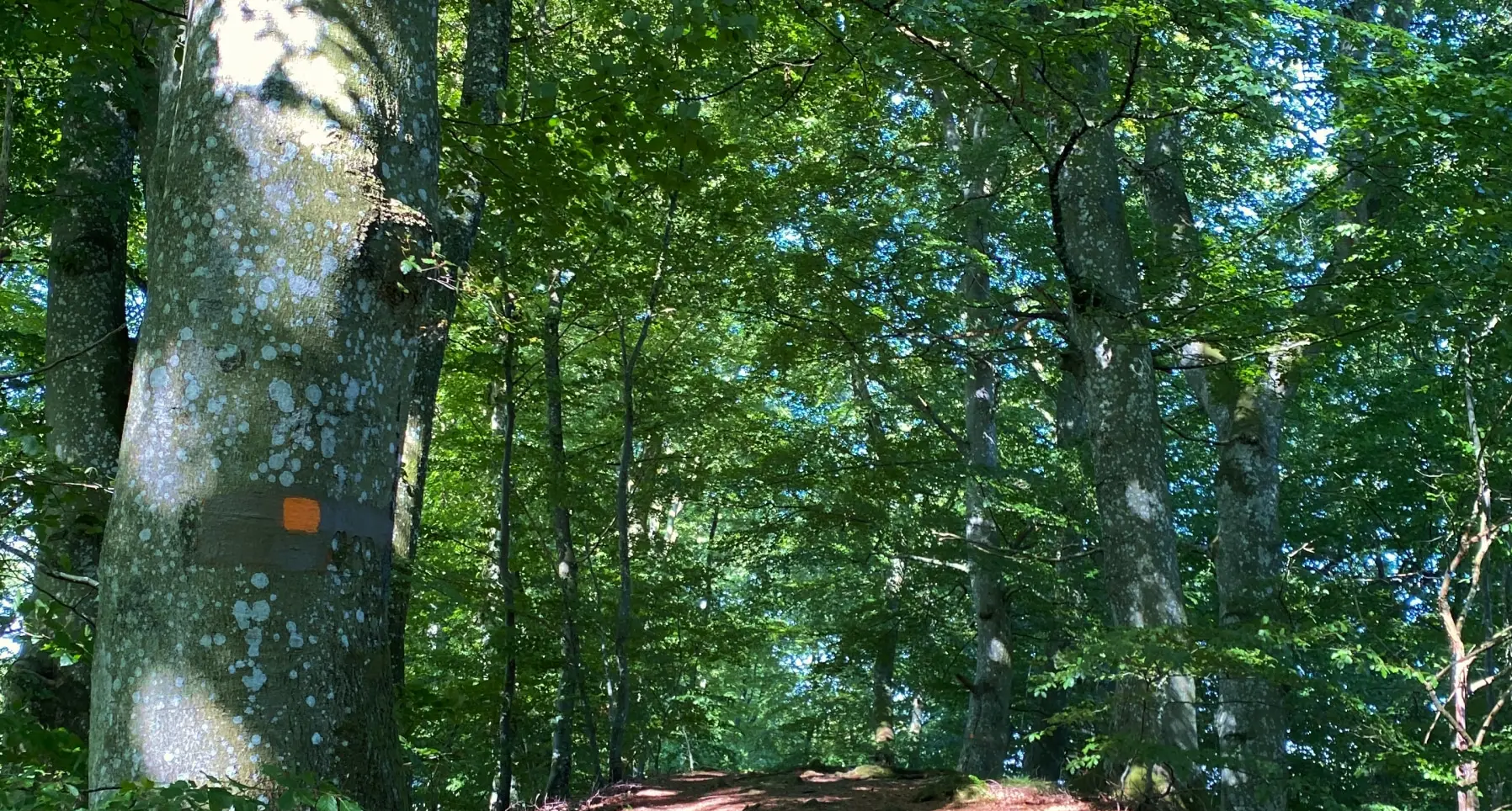 Gamla Prästgården i Hörröd - Photo 2