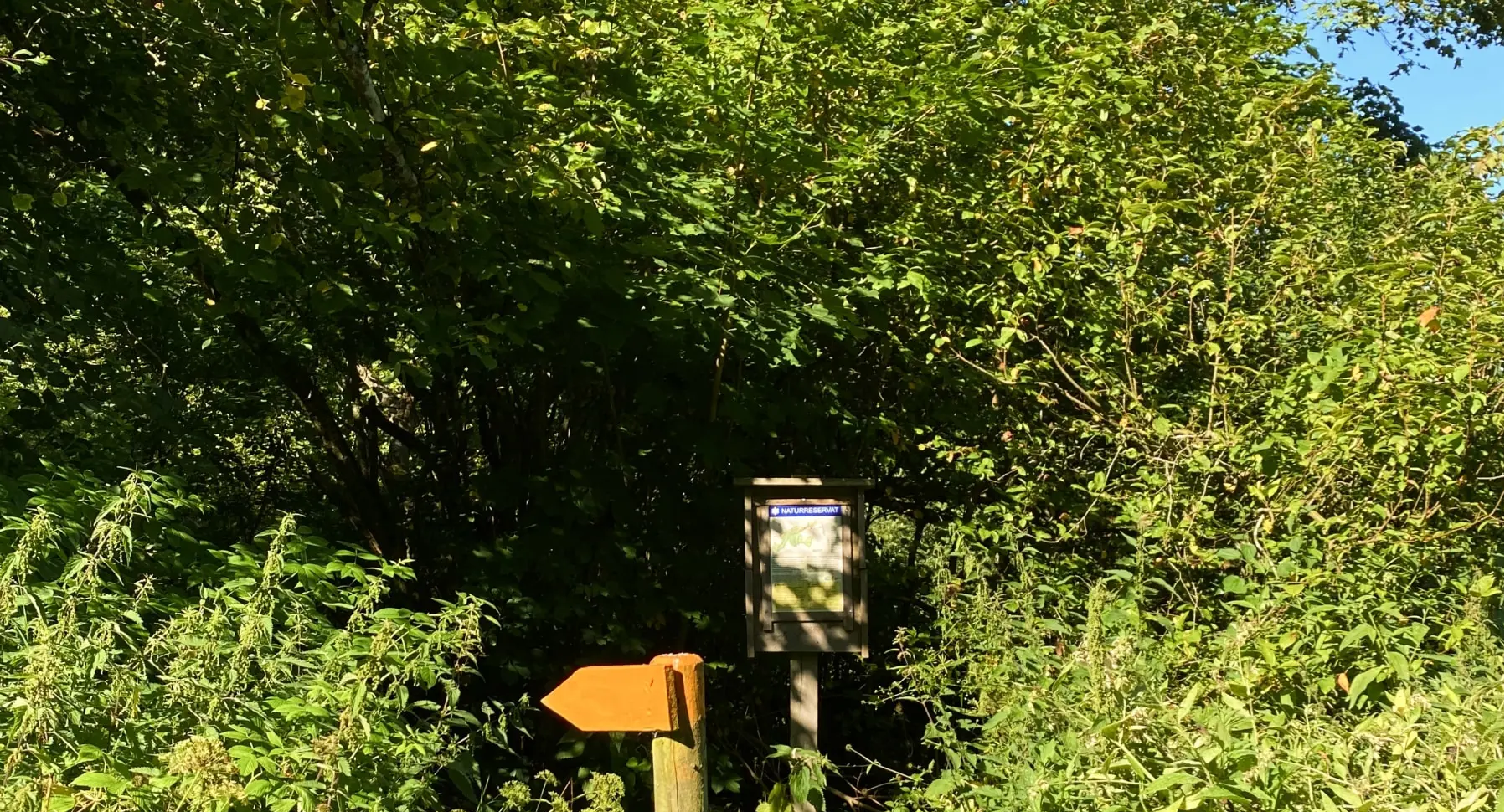 Gamla Prästgården i Hörröd photo 4