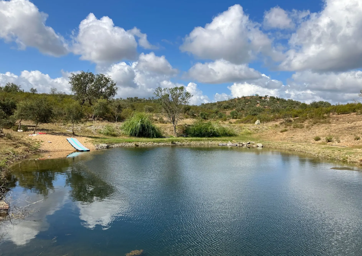 Green Oaks Alentejo photo 3
