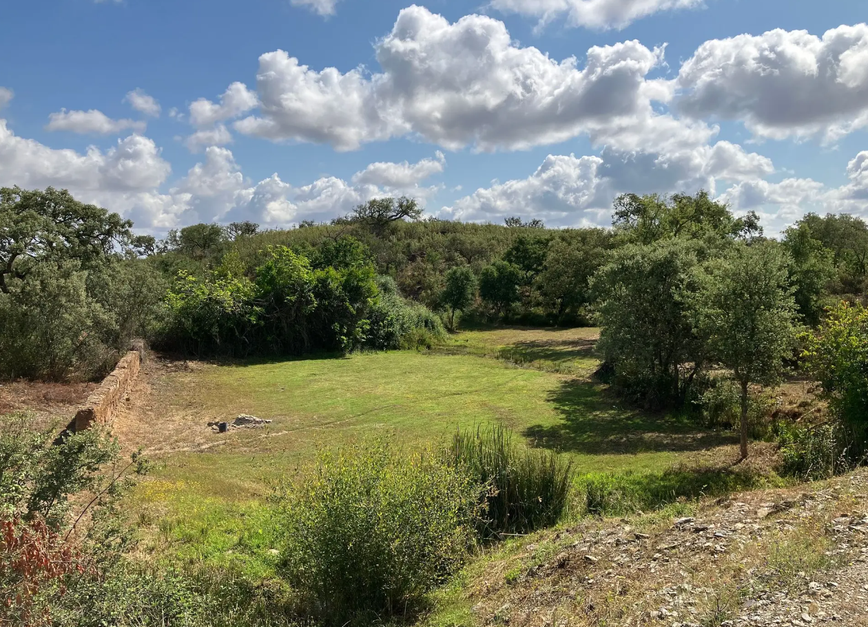 Green Oaks Alentejo photo 2
