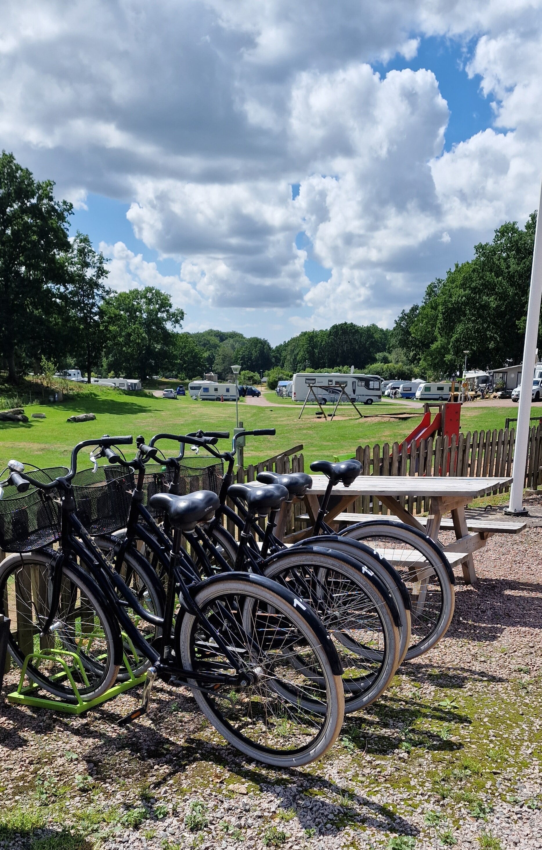 Grottbyn – Skånes Djurparks Camping photo 3