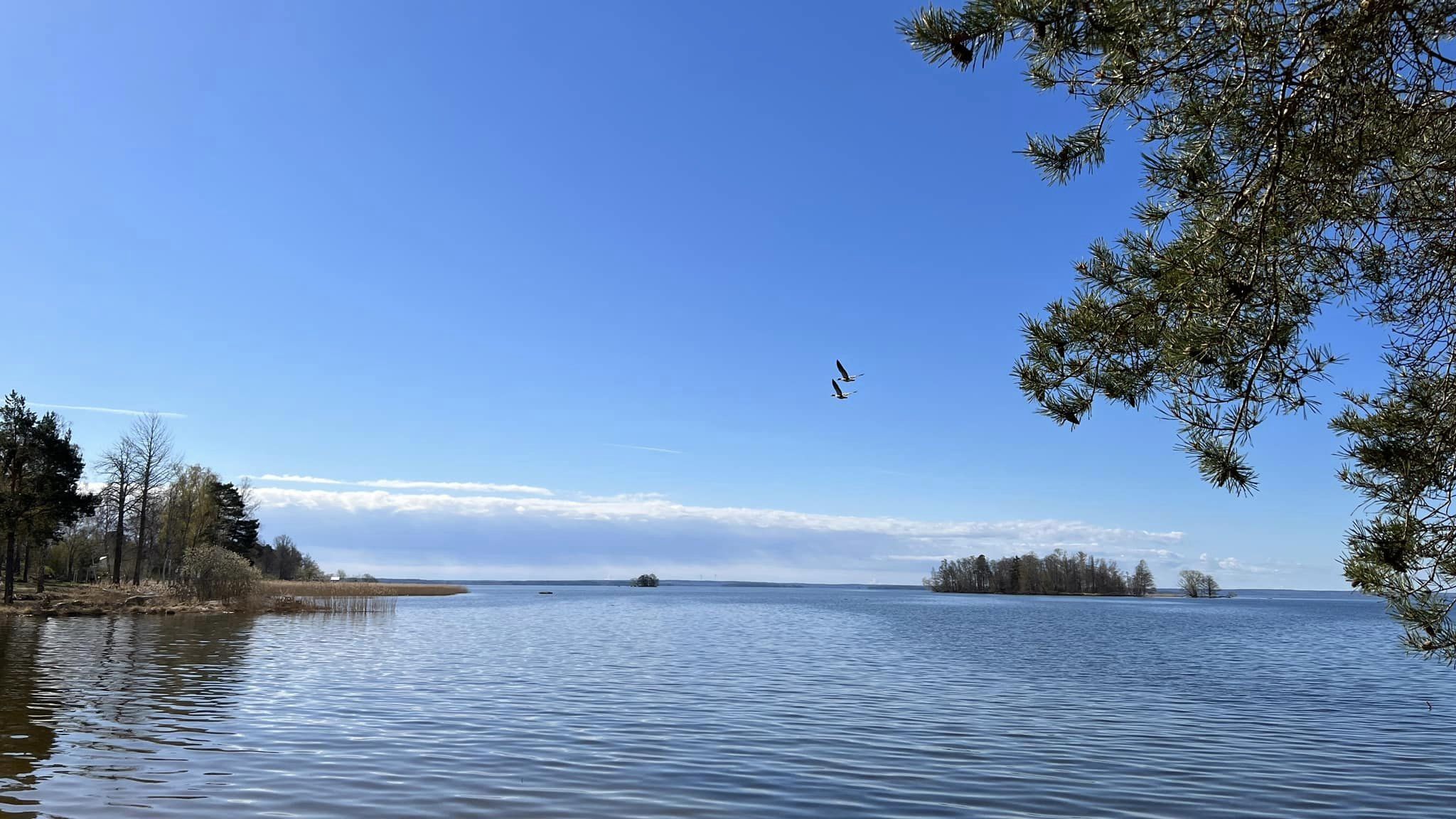 Hällarnas Camping