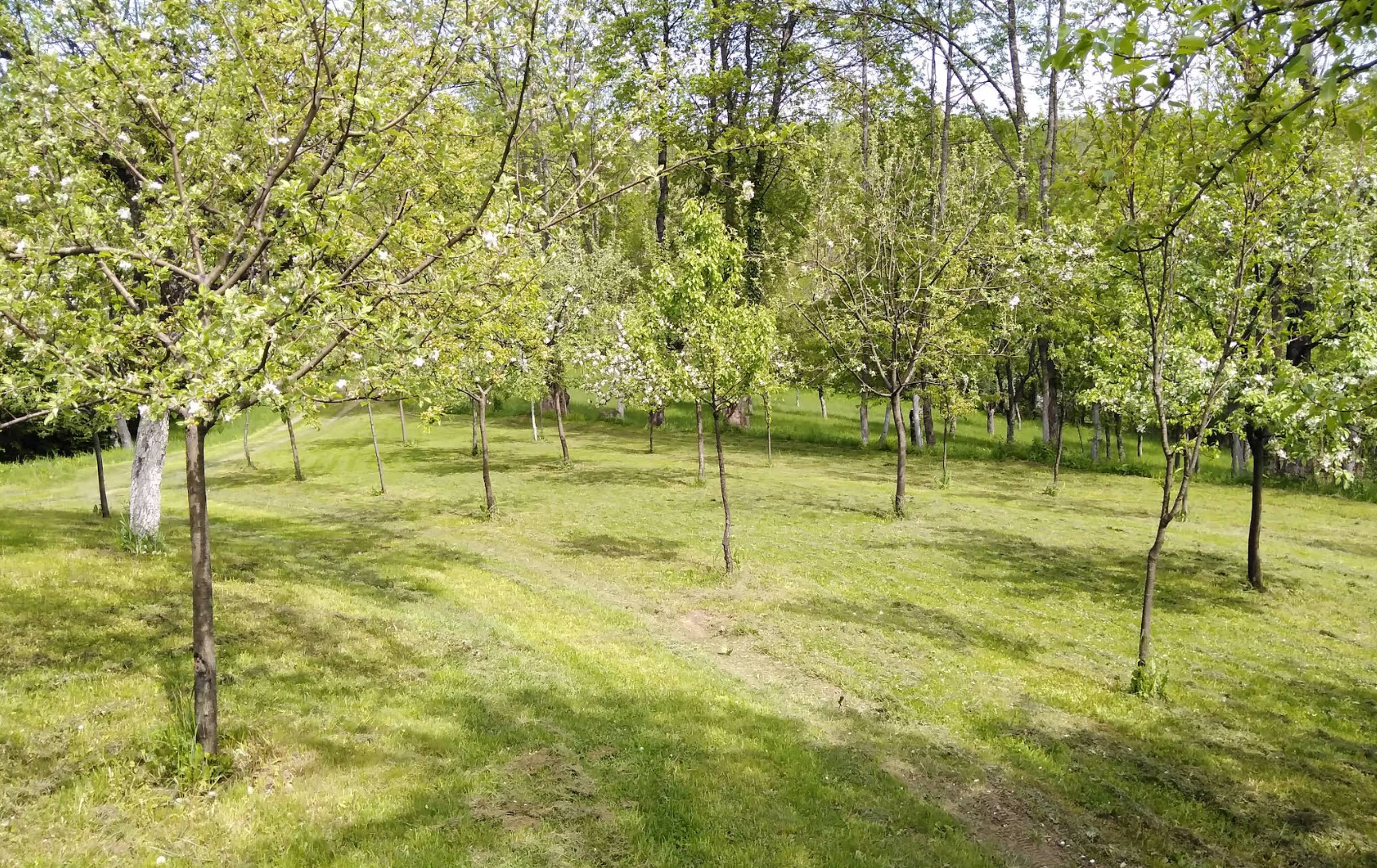 La sălașul fermecat - Photo 2
