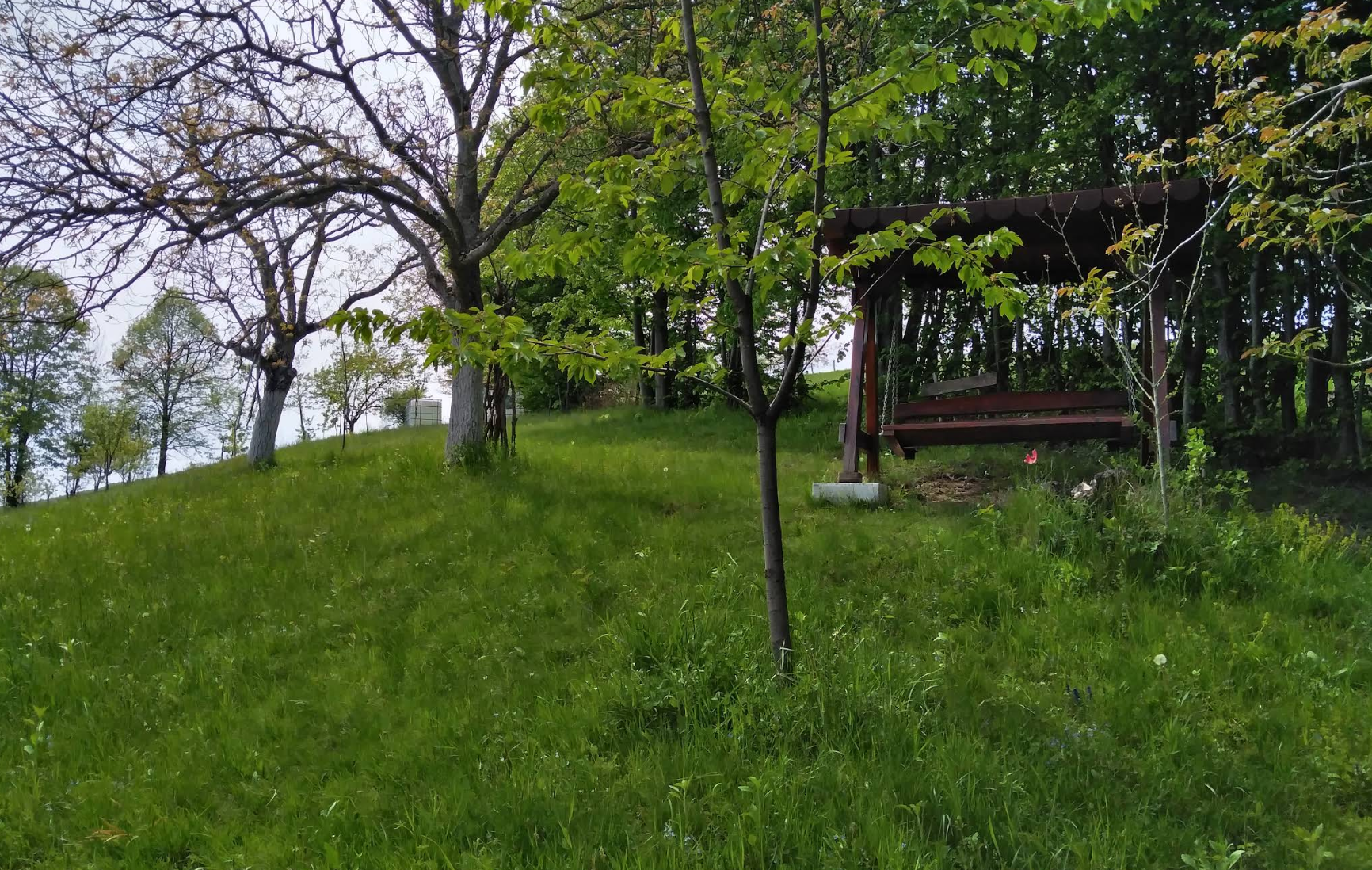 La sălașul fermecat - Photo 3
