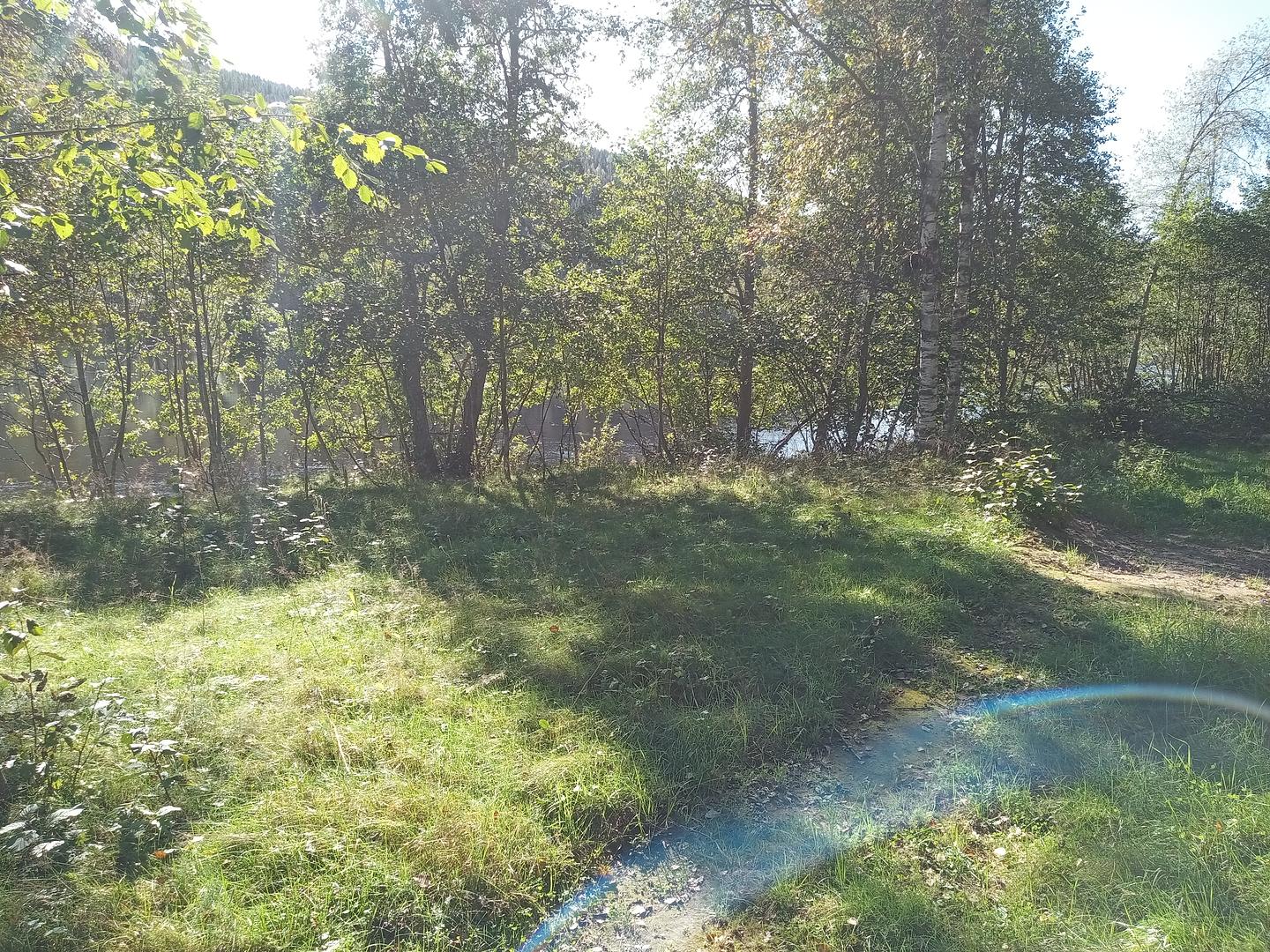 Lindhem Gård photo 3