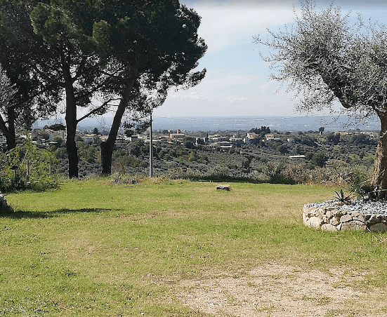 L'Olivone fara F.R.I. photo 4