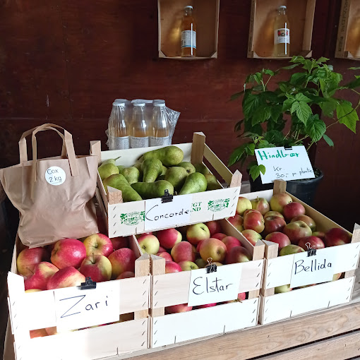 Lolle Frugt photo 3
