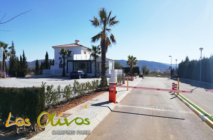 Los Olivos de Xivert Camping Park photo 4